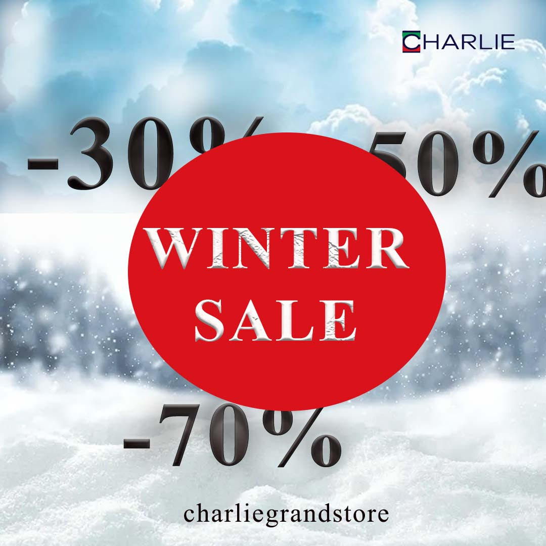 Winter Sale Promotion Design Image